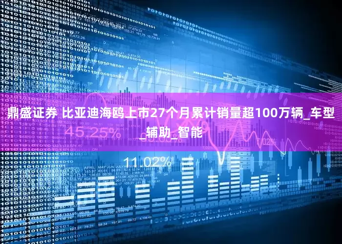 鼎盛证券 比亚迪海鸥上市27个月累计销量超100万辆_车型_辅助_智能