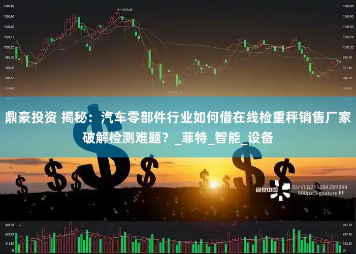 鼎豪投资 揭秘：汽车零部件行业如何借在线检重秤销售厂家破解检测难题？_菲特_智能_设备