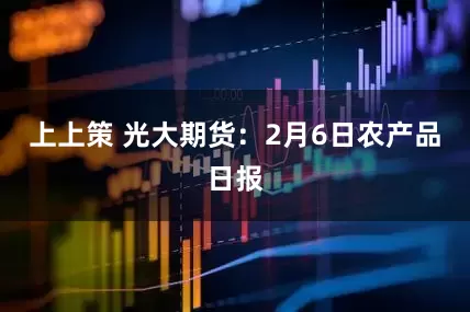 上上策 光大期货:2月6日农产品日报